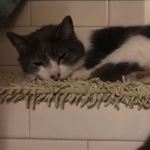 Meet your Posher, Abbey